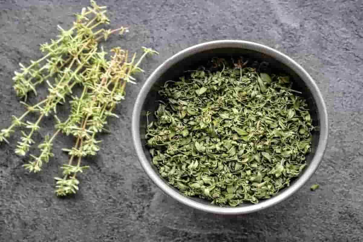 آویشن باریک